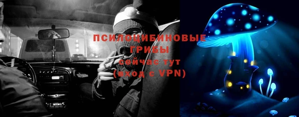 стафф Каменногорск