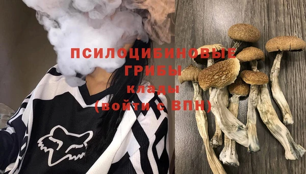 марки nbome Каменка