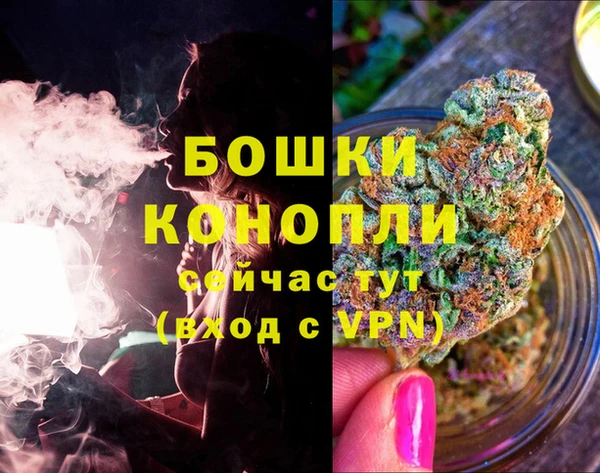 стафф Каменногорск