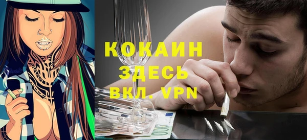 стафф Каменногорск