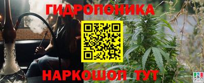 тгк Славгород
