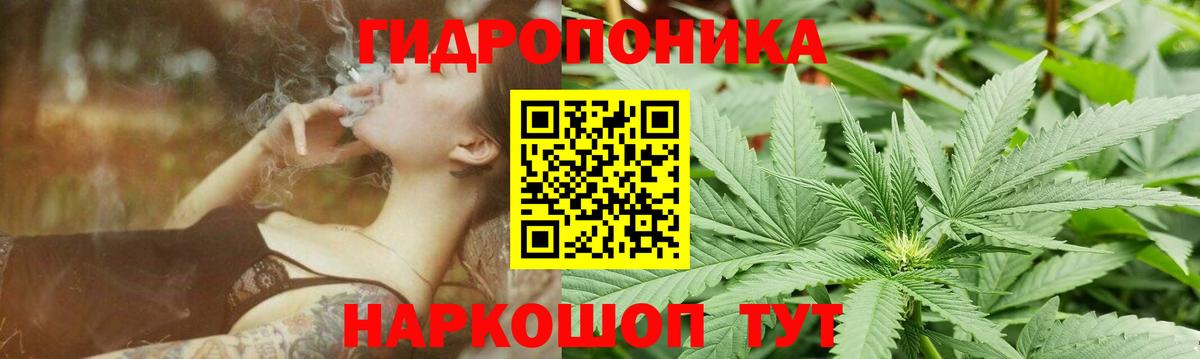 Бошки Шишки планчик  Бошки марихуана конопля  Шишки марихуана LSD WEED  Конопля конопля  Вход с VPN  Одинцово 
